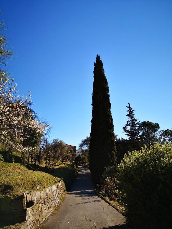 La Vivagna - Casa Vista Mare Tra Gli Ulivi Villa Leivi Bagian luar foto